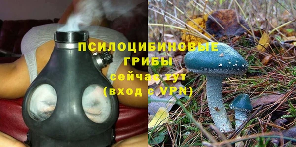 мяу мяу мука Бугульма