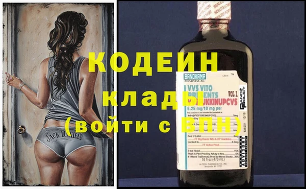 дмт Бородино