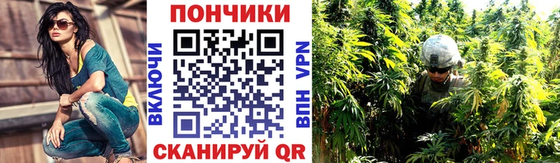 Купить  Ногинск  Конопля марихуана 
